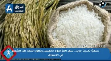 رسميًا تحديث جديد.. سعر الأرز اليوم الخميس وتطور أسعار طن الشعير في الأسواق